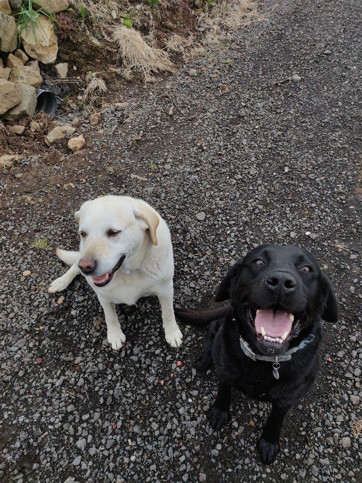 Shaping the Future of Engineering